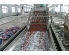 2019諸城鑫鼎機械隆重推出新產(chǎn)品龍蝦清洗機