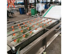 甜玉米清洗機具體操作方法與步驟