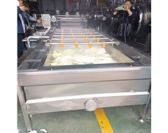 客戶親自來(lái)考察白菜清洗風(fēng)干試機(jī)