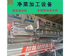 預(yù)制菜加工設(shè)備渦流清洗機(jī)震動瀝水機(jī)發(fā)貨