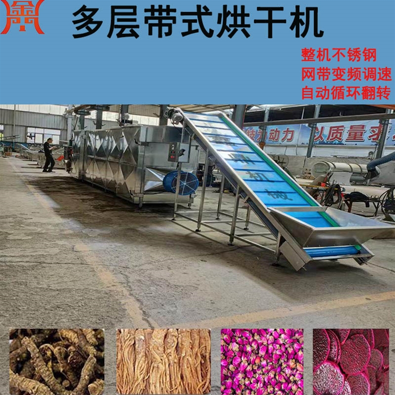 蕨菜帶式干燥設備 