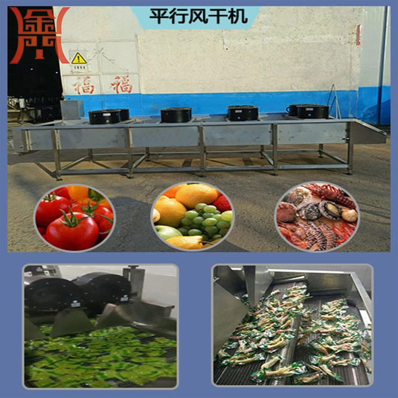 翻轉(zhuǎn)式調(diào)料包風(fēng)干機(jī) 全自動(dòng)豆干風(fēng)干機(jī) ，網(wǎng)帶式魔芋豆腐腐竹風(fēng)干機(jī)