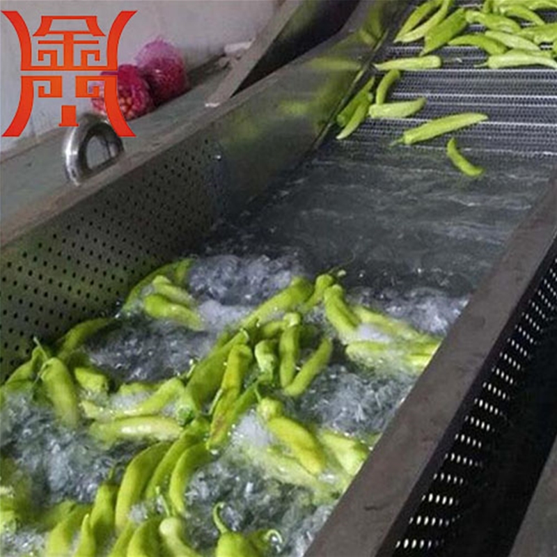 胡蘿卜清洗生產(chǎn)線