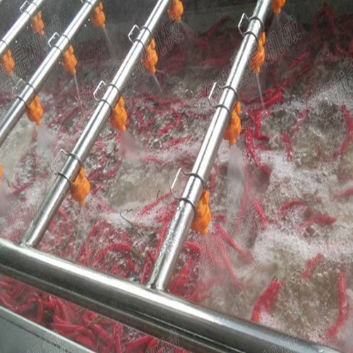 草莓清洗除雜生產(chǎn)線