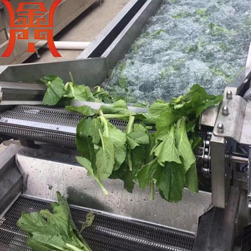 葉類(lèi)蔬菜清洗加工流水線