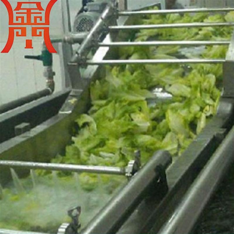 娃娃菜清洗機 氣泡清洗效果好