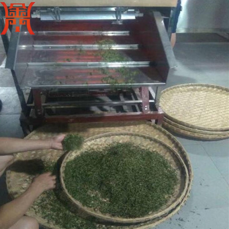 菠菜殺青機(jī)
