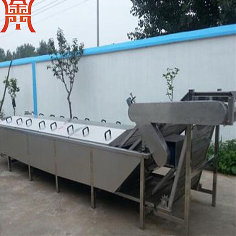 豆角漂燙機(jī)