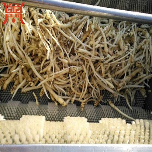 桔梗清洗機(jī)