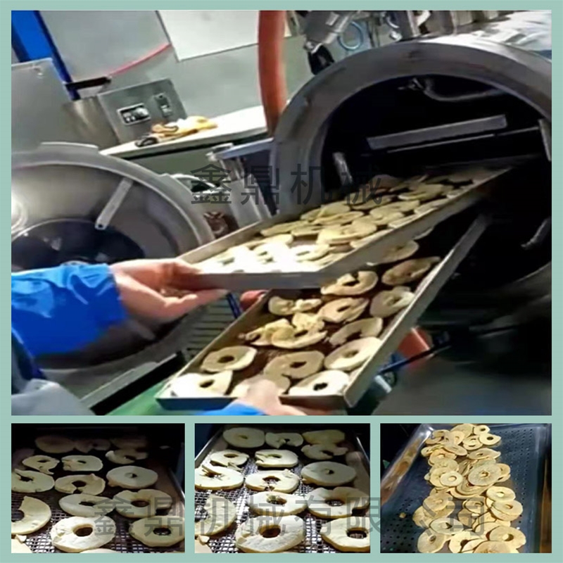 生產(chǎn)蘋果脆片變溫壓差膨化設(shè)備有哪些