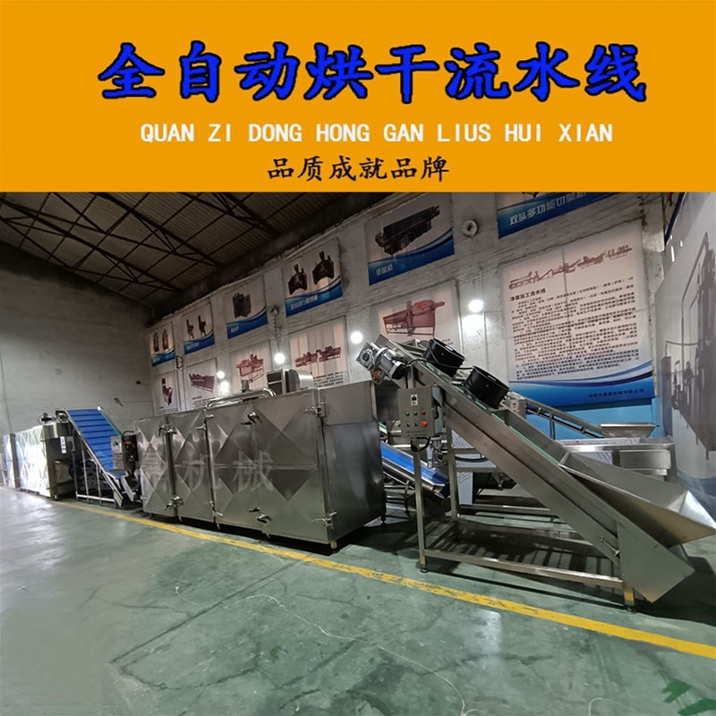 桂圓連續(xù)網(wǎng)帶式烘干機