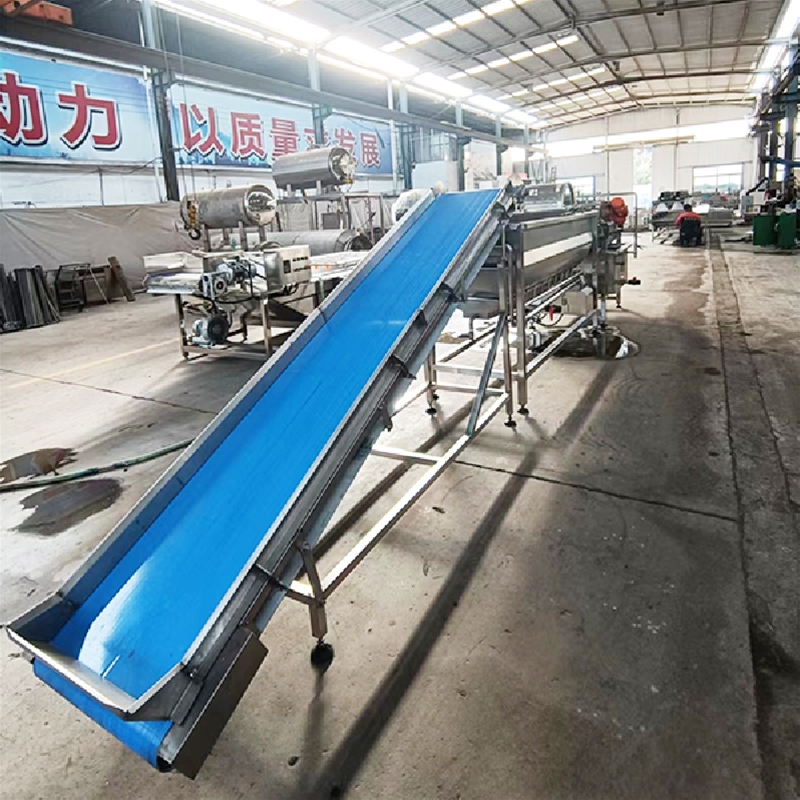 豆角渦流清洗機(jī)